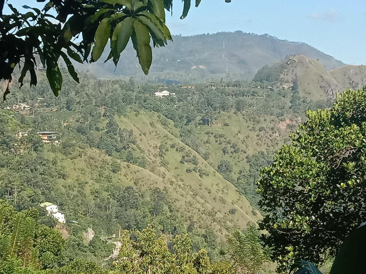 Charming View Homestay Елла Екстер'єр фото