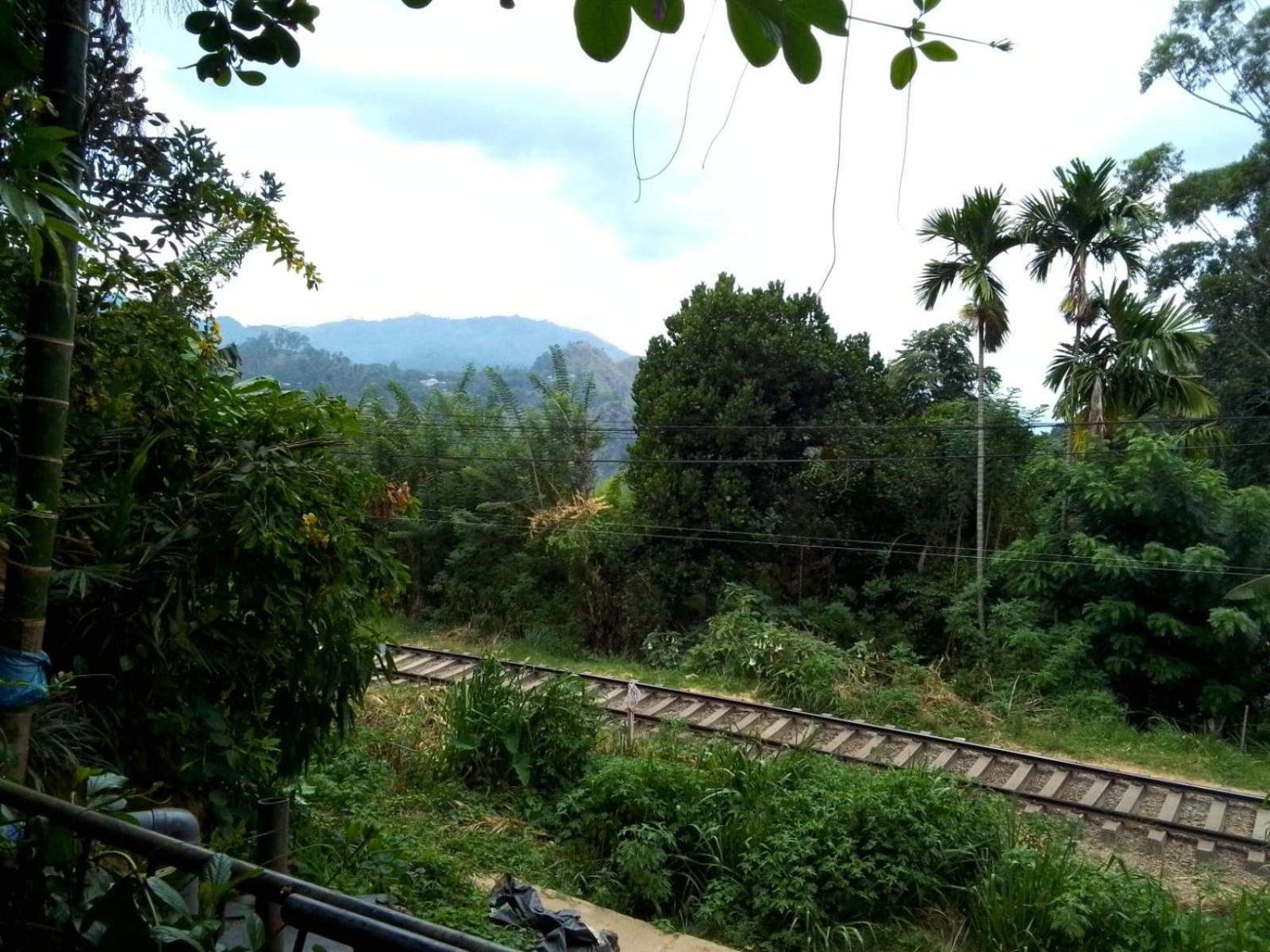 Charming View Homestay Елла Екстер'єр фото